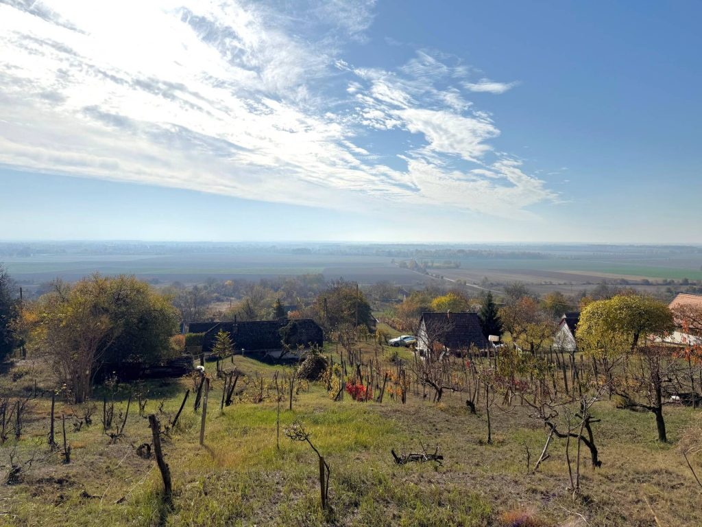 Harkány, Harkány-Terehegy zártkerti részén, 2617 nm-es, örökpanorámás telek, 50 nm-es hétvégi házzal eladó.