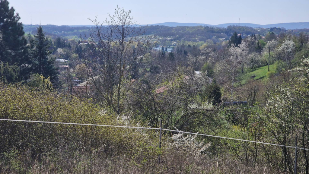 Pogány, A Baranya megyei Pogányban, a horgásztó közelében örökpanorámás telek eladó