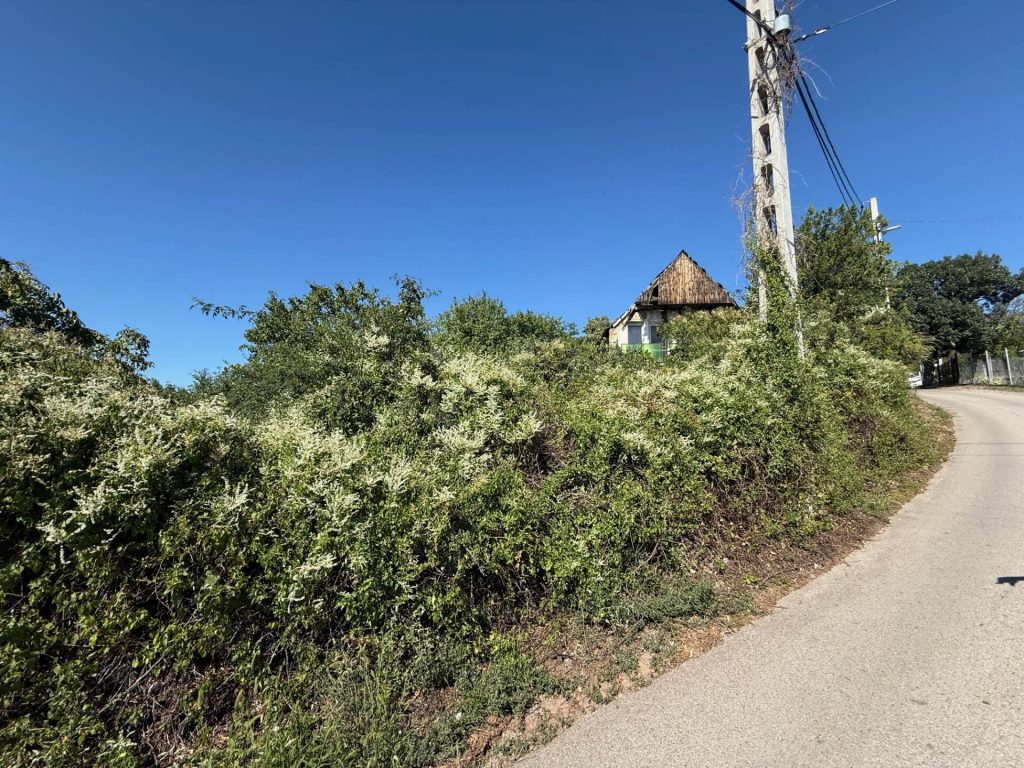 Pécs, Pécsett, a Felsőmakár Dűlő elején, 3419 nm-es, összközműves, panorámás telek eladó.